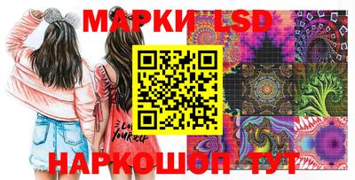 кокс Донской