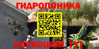 МДПВ Дубна