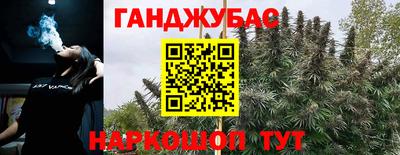 кокс Донской