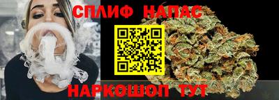 МДПВ Дубна
