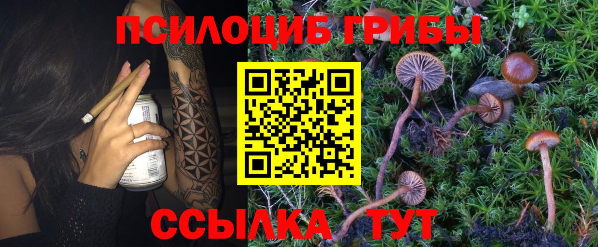 Псилоцибиновые грибы MAGIC MUSHROOMS Ливны