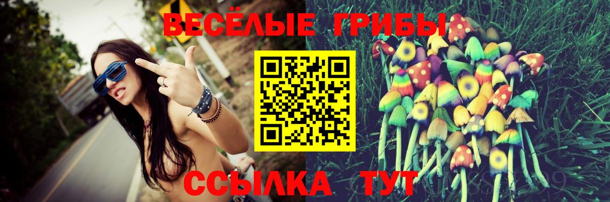 Галлюциногенные грибы MAGIC MUSHROOMS  Галлюциногенные грибы Cubensis  Ливны  продажа наркотиков  Вход с VPN 
